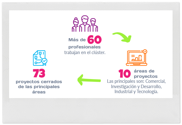 Cifras de Clúster, Historia de Zaimella